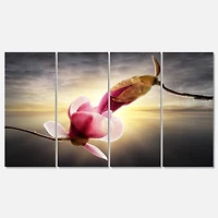 Designart - Beautiful Magnolia Flowers