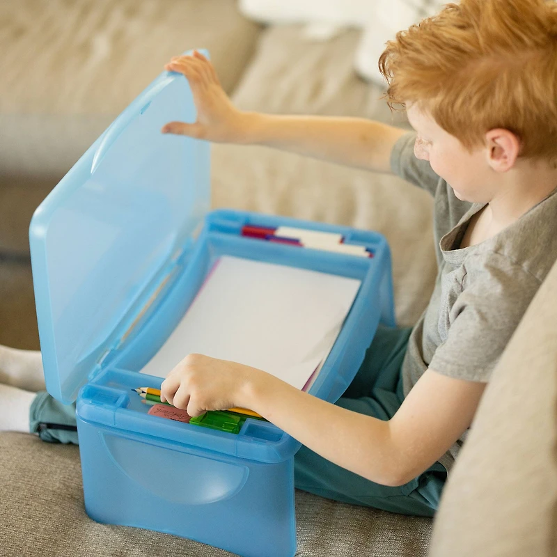 Everything Mary Plastic Lap Desk