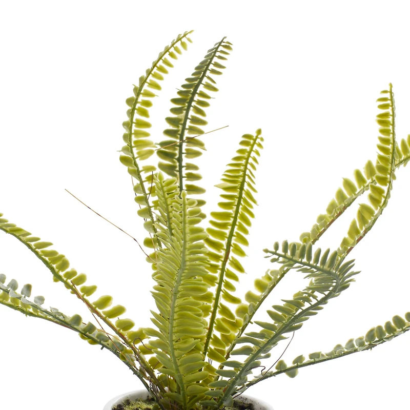 White Ceramic Contemporary Artificial Foliage, 14" x 12" x 13"