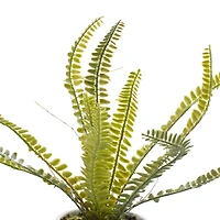 White Ceramic Contemporary Artificial Foliage, 14" x 12" x 13"