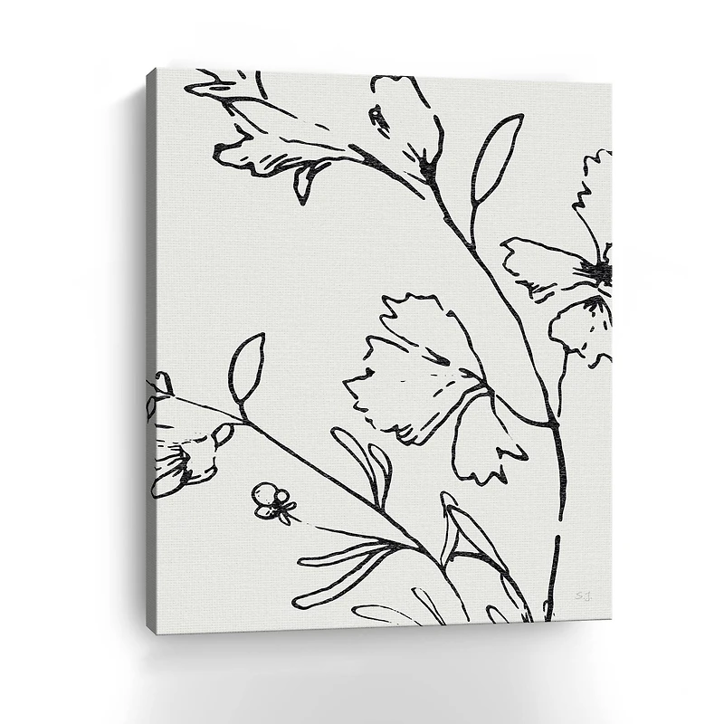 Botanical Sketch II Canvas Giclee
