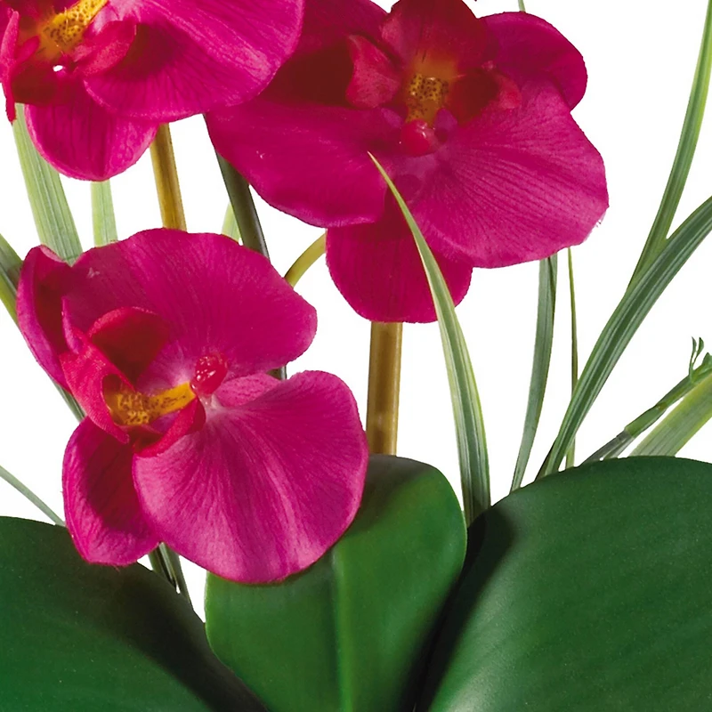 21" Moth Orchid Flower Arrangement in Ceramic Pot