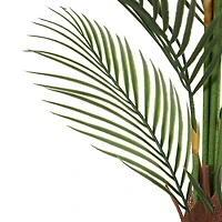 3.9ft. Potted Areca Palm Tree