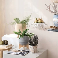 Hello Honey® 6" Cream & Brown Geometric Harmony Stoneware Planter