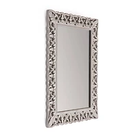 Habitat Calie 25" Distressed Gray Mirror with Carved Botanical Frame