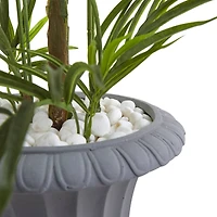 3.5ft. Areca Palm Tree in Gray Urn