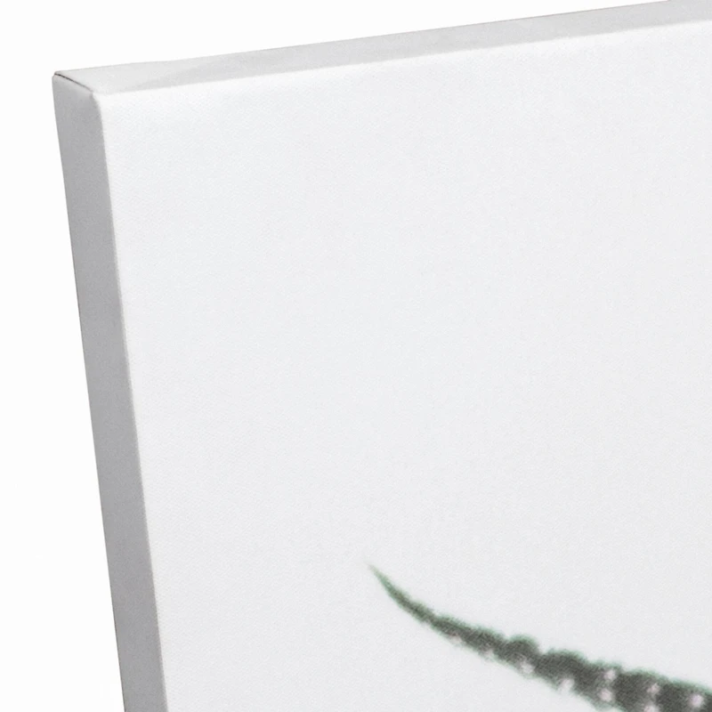 Muted Aloe Plant 20" x 20" Canvas Wall Art