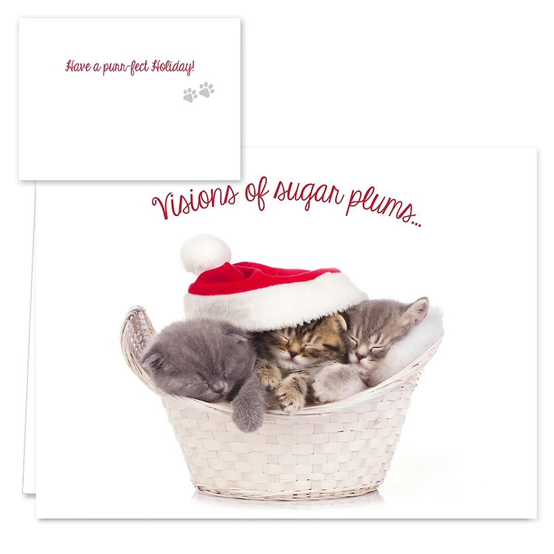 Hortense B. Hewitt Co. Christmas Cats Holiday Cards