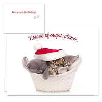 Hortense B. Hewitt Co. Christmas Cats Holiday Cards