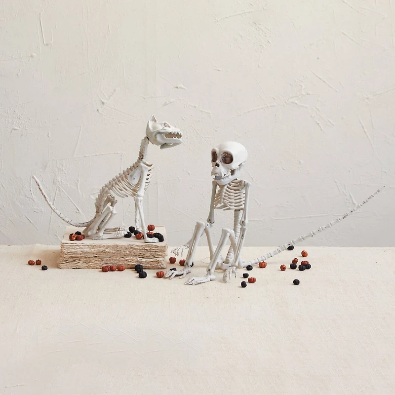 Hello Honey® 23.5" Natural Plastic Monkey Skeleton Décor