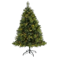 5ft. Pre-Lit North Carolina Mixed Pine Artificial Christmas Tree, Warm White LED Lights