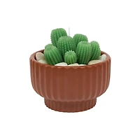 16oz. Brown Potted Succulent Candle by Ashland®