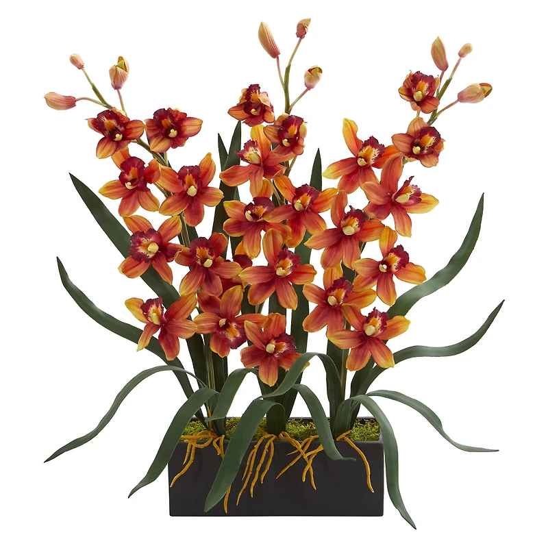 2ft. Red & Orange Orchid Arrangement in Black Vase
