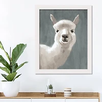 Painty Llama White Framed Print Under Plexiglass