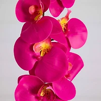 35" Beauty Pink Orchid Flower Stems, 3ct.
