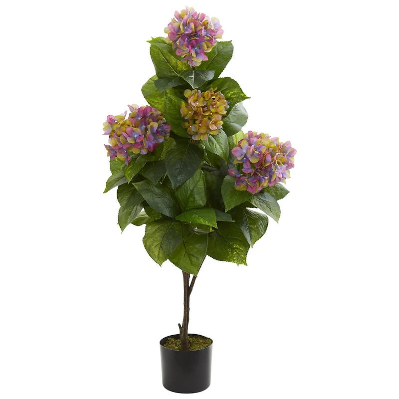 3.5ft. Potted Purple Hydrangea