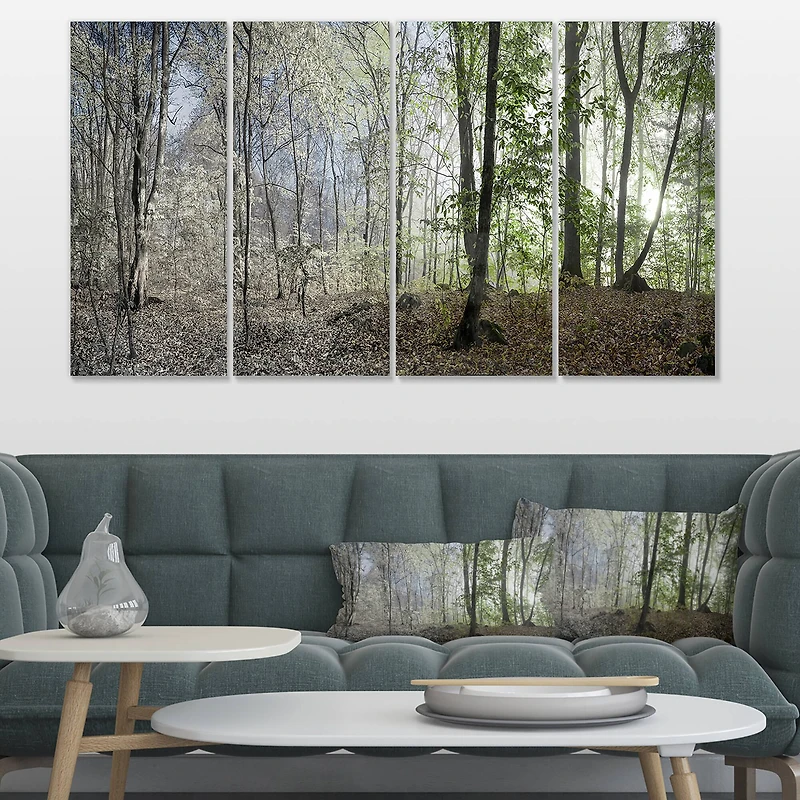 Designart - Morning in Forest Panorama