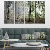 Designart - Morning in Forest Panorama