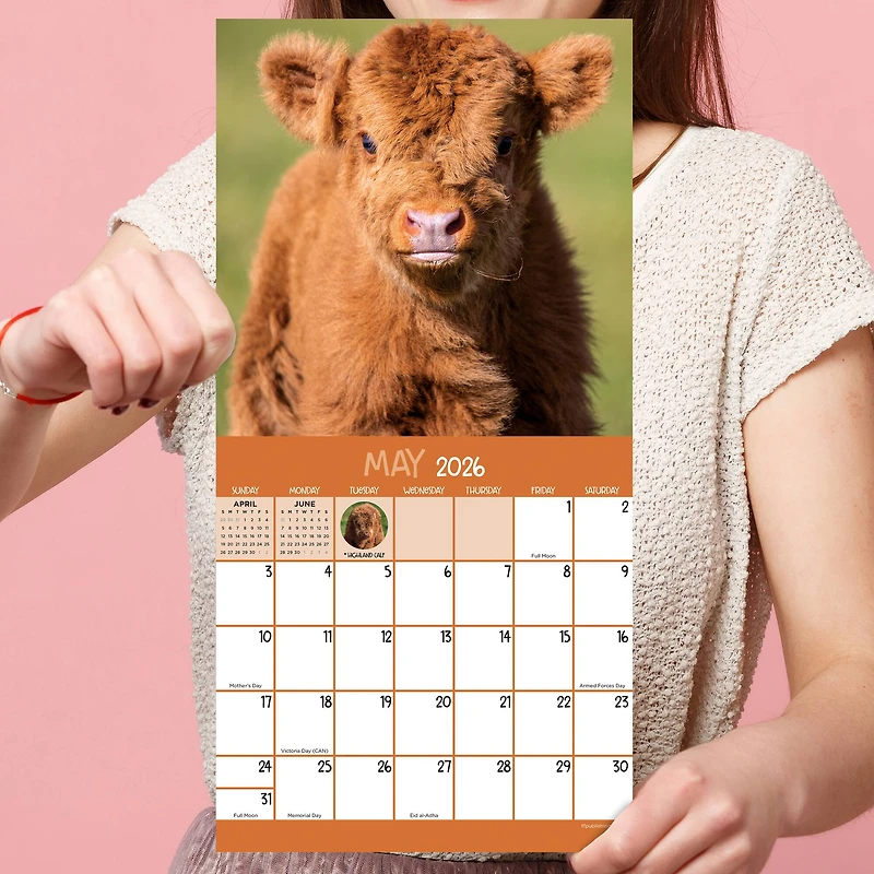 2026 Baby Animals Mini Calendar
