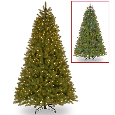 9ft. Pre-Lit Downswept Douglas® Fir Tree, Dual Color LED Lights