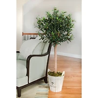 4.5ft. Olive Topiary Tree with Farmhouse Barrel Planter