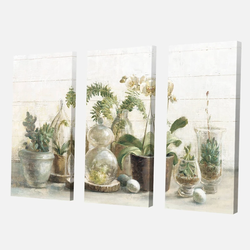 Designart - Greenhouse Orchids