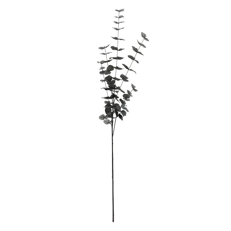 Tall Black Eucalyptus Stem by Ashland®
