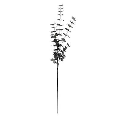 Tall Black Eucalyptus Stem by Ashland®