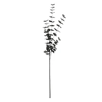 Tall Black Eucalyptus Stem by Ashland®