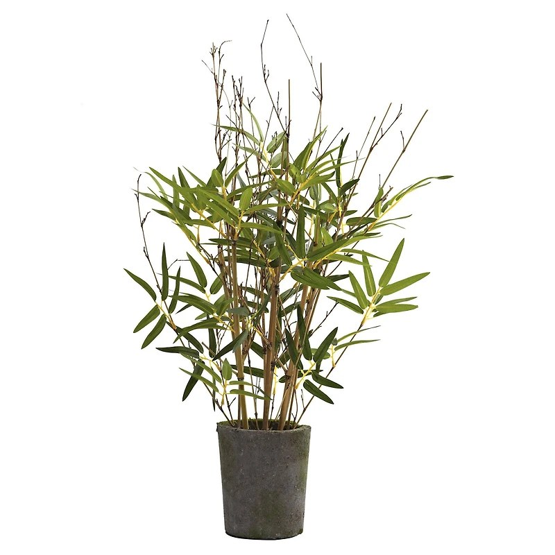 2.25ft. Bamboo Tree with Cement Pot