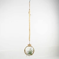 Flora Bunda® 29" Beads Airplant Hanger