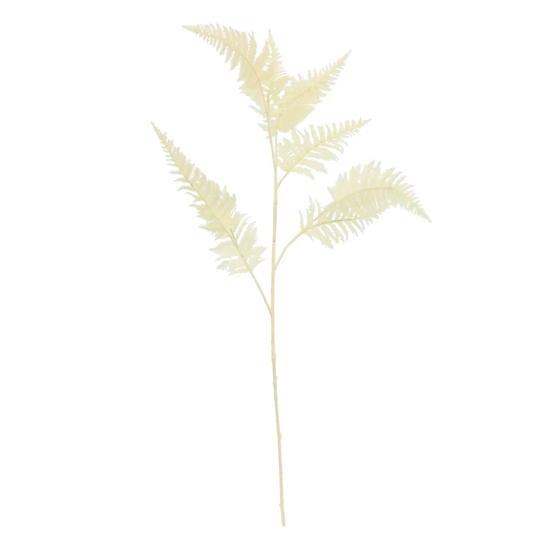 Cream Fern Stem by Ashland®