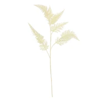 Cream Fern Stem by Ashland®