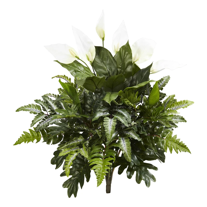 Peace Lily, Philodendron, and Fern Bush, 2ct.