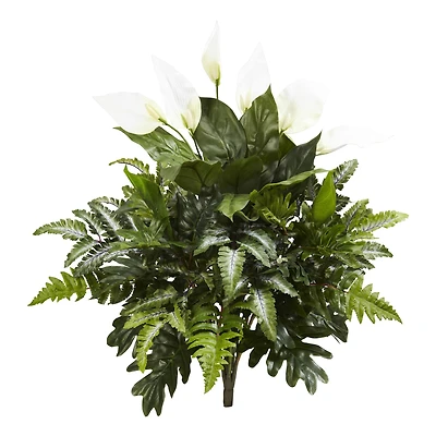 Peace Lily, Philodendron, and Fern Bush, 2ct.