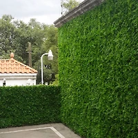 20" Maya Style Plant Living Wall Panels, 4ct.