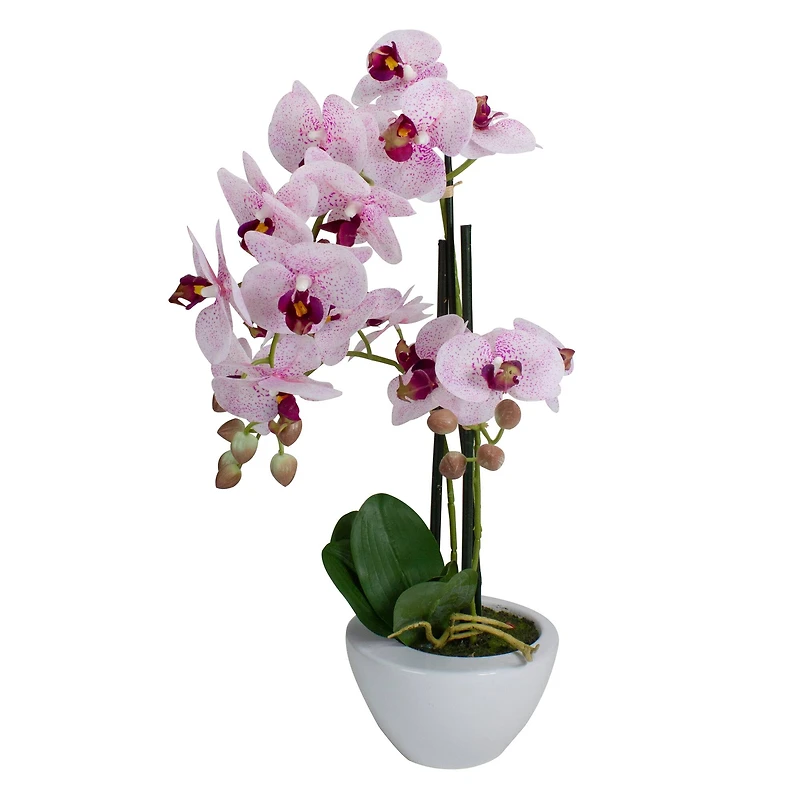 21" Pink & White Orchid Plant in White Pot