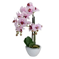 21" Pink & White Orchid Plant in White Pot