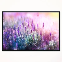 Designart - Growing and Blooming Lavender
