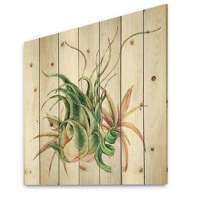 Designart - Tropical Leaves Air Plant Succulent