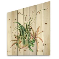 Designart - Tropical Leaves Air Plant Succulent