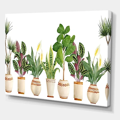 Designart - Trio of Houseplants Sanseviera Snake Plant