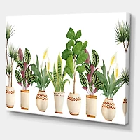 Designart - Trio of Houseplants Sanseviera Snake Plant