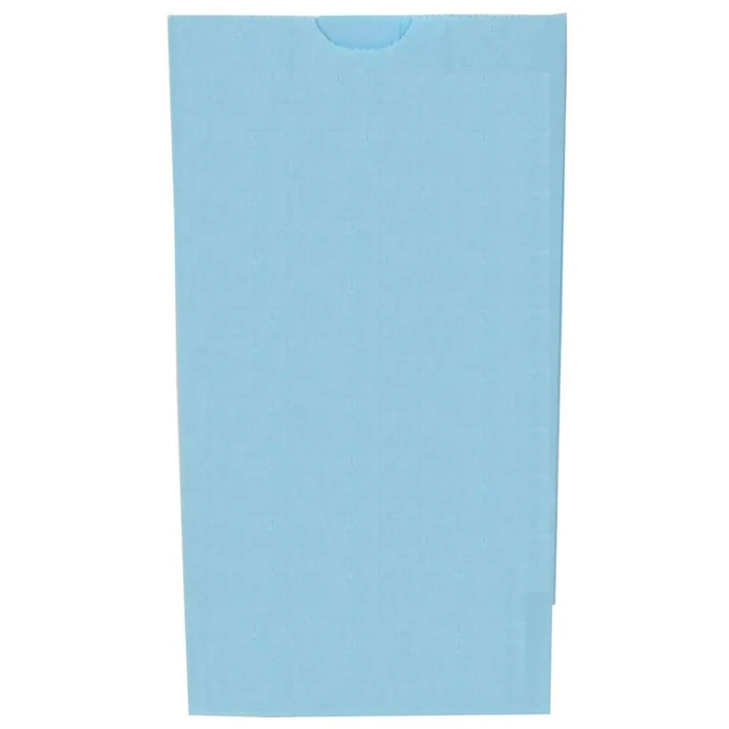 JAM Paper Baby Blue Medium Kraft Lunch Bags, 500ct.