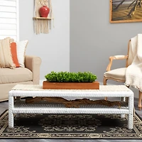 6" Sweet Grass Plant in Decorative Planter