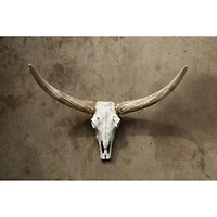 Hello Honey® Resin Steer Skull Wall Décor