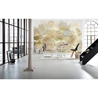 Komar Ivory Rose Wall Mural