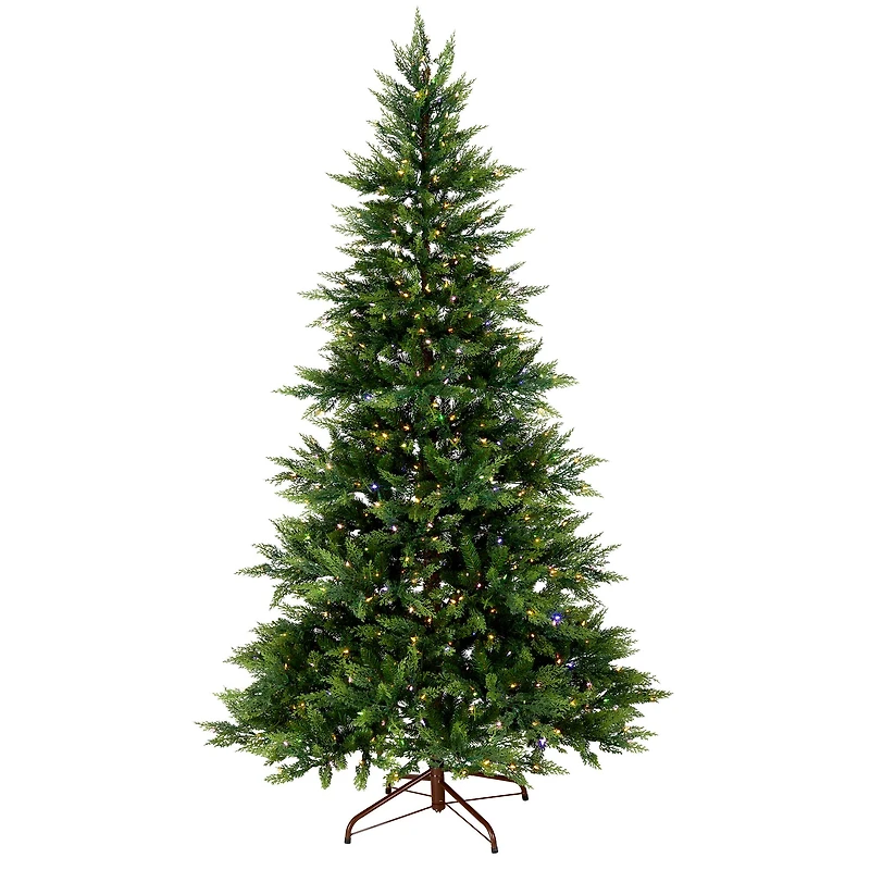 7.5ft. Pre-Lit Festive Fern Artificial Christmas Tree, Clear Lights