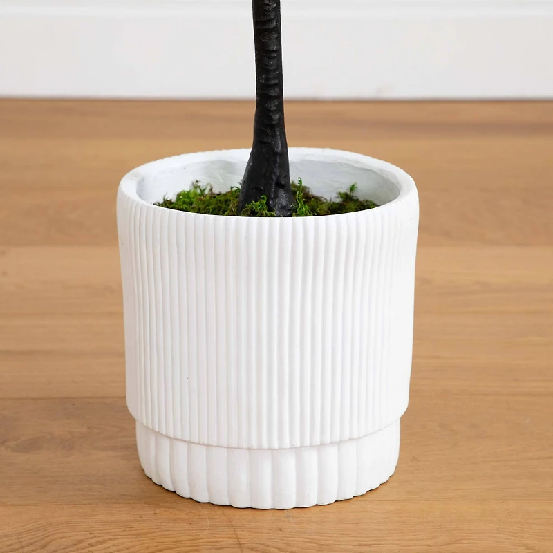 6ft. Bougainvillea Tree with White Decorative Planter