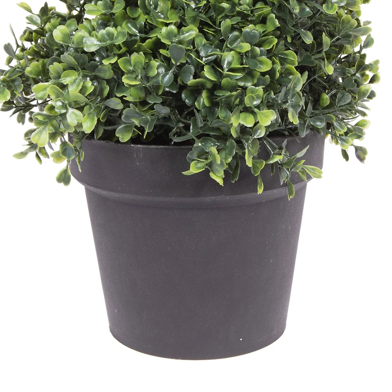 5ft. Potted Green Boxwood Spiral Tree